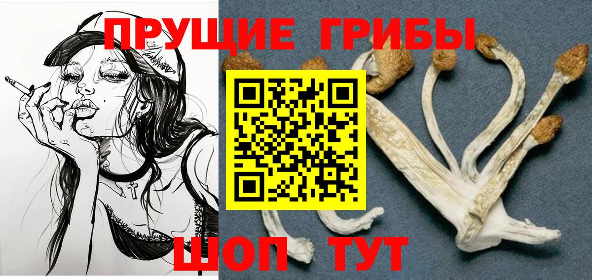 Гагарин  Псилоцибиновые грибы Cubensis  Галлюциногенные грибы Cubensis  Вход с VPN 