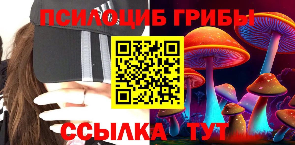 Галлюциногенные грибы Magic Shrooms Гагарин